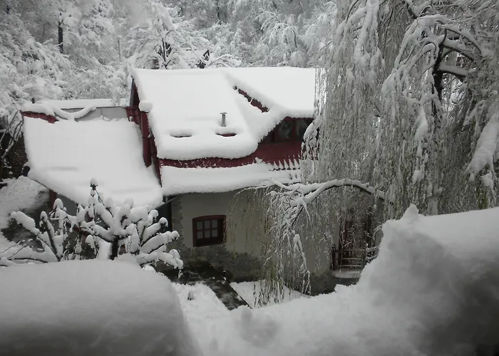 Rem'S Pension Rîşnov