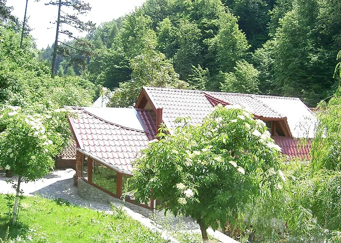Rem'S Pension Rîşnov
